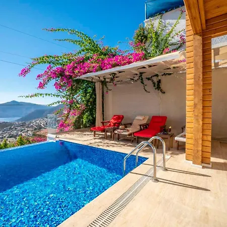 Eco Mimoza * Kalkan