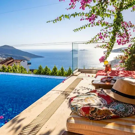 Eco Mimoza Kalkan